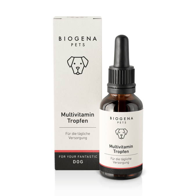 BIOGENA PETS Multivitamin Tropfen für die tägliche Versorgung in brauner Glasflasche mit Pipette und weißer Verpackung mit schwarzer Schrift und Hundesymbol