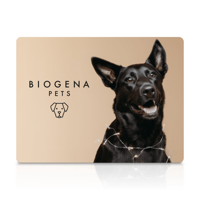 Eine hellbraune Karte mit der Aufschrift „BIOGENA PETS“ und einem minimalistischen Hundesymbol. Rechts im Bild sitzt ein fröhlicher schwarzer Hund mit Lichterkette um den Hals vor einem beigen Hintergrund.