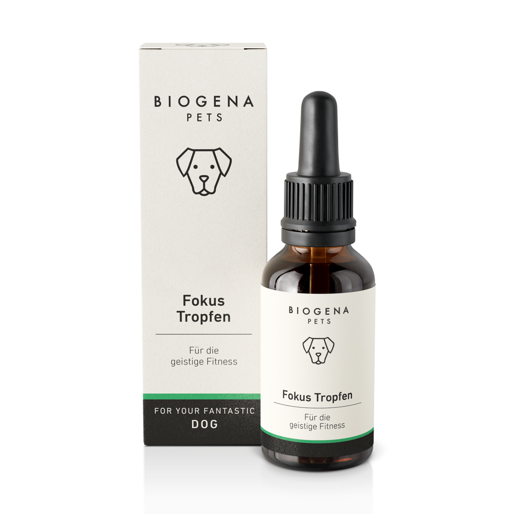 biogena_pets_fokus_tropfen_fuer_die_geistige_fitness_in_brauner_glasflasche_mit_pipette_und_weisser_verpackung_mit_schwarzer_schrift_und_hundesymbol