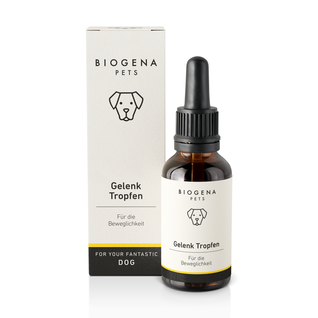 biogena_pets_gelenk_tropfen_fuer_die_beweglichkeit_in_brauner_glasflasche_mit_pipette_und_weisser_verpackung_mit_schwarzer_schrift_und_hundesymbol