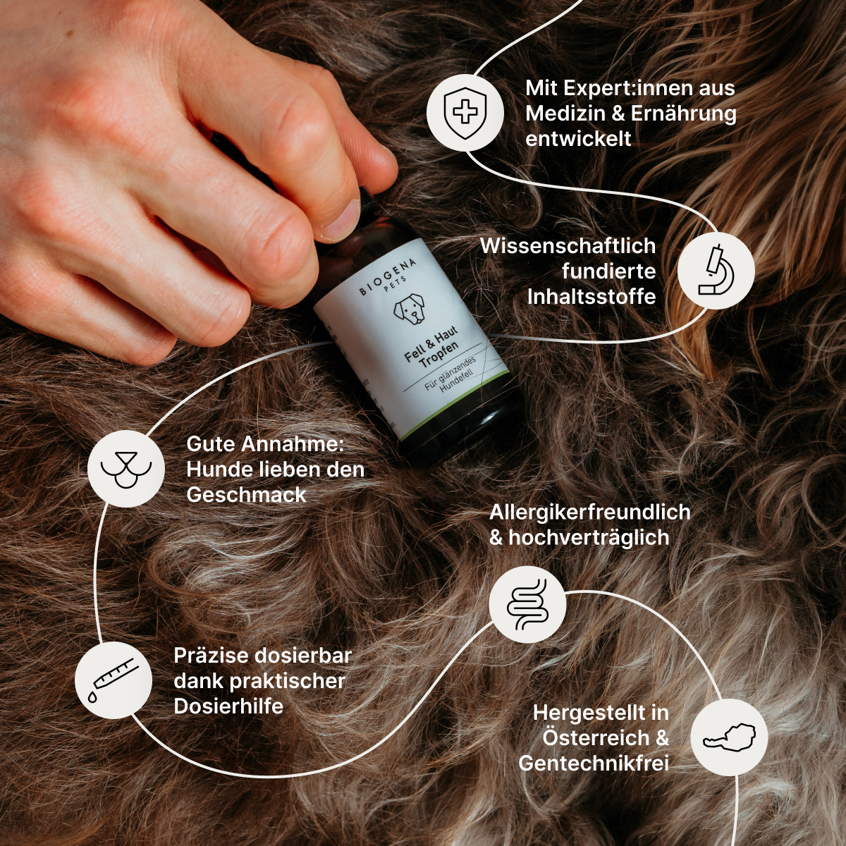 hand_hlt_biogena_pets_fell_haut_tropfen_ueber_glnzendem_hundefell_text_nennt_fundierte_inhaltsstoffe_gute_akzeptanz_przise_dosierung_allergikerfreundlich_mit_expertinnen_entwickelt_in_oesterreich_ohne_gentech