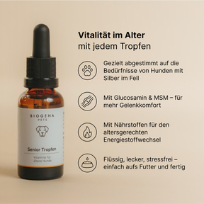 biogena_pets_senior_tropfen_flasche_mit_texten_zu_glucosamin_msm_altersgerechtem_energiestoffwechsel_speziell_fuer_hunde_mit_silber_im_fell_und_einfacher_anwendung_durch_tropfenweise_dosierung_auf_das_futter