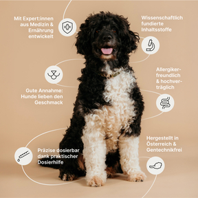 froehlicher_schwarzweisser_hund_vor_beigem_hintergrund_text_hebt_hervor_wissenschaftlich_fundierte_inhaltsstoffe_gute_akzeptanz_przise_dosierung_allergikerfreundlich_mit_expertinnen_entwickelt_in_oesterreich_ohne