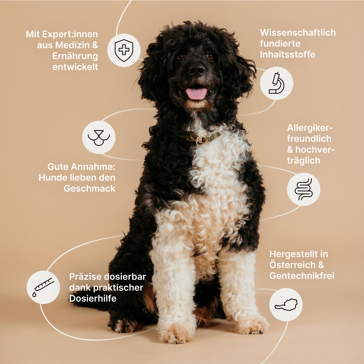 biogena_pets_omega_tropfen_mit_lachs_hanfoel_in_brauner_glasflasche_mit_pipette_und_weisser_verpackung_mit_schwarzer_schrift_und_hundesymbol